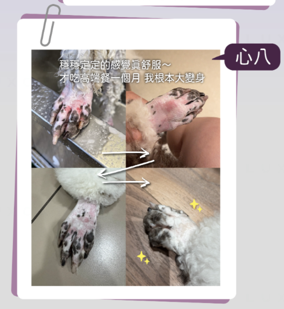 心八腳掌肌膚健康見證